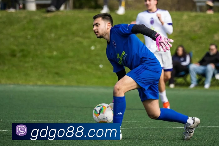 App Interface Preview