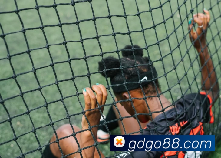 高德娱乐官网APP 封面图