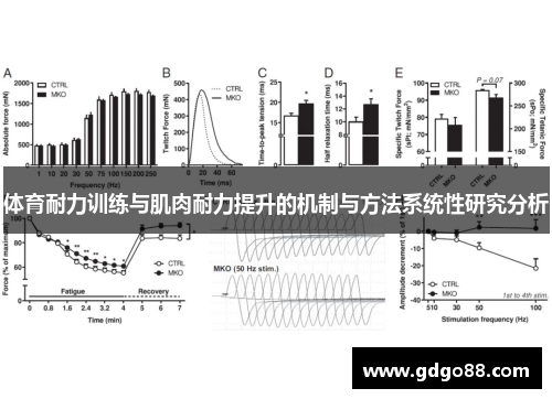 体育耐力训练与肌肉耐力提升的机制与方法系统性研究分析